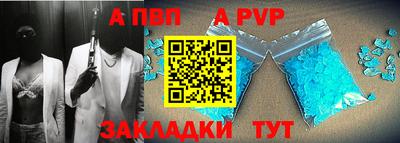 дурь Кингисепп