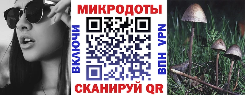 Галлюциногенные грибы MAGIC MUSHROOMS  Мичуринск 