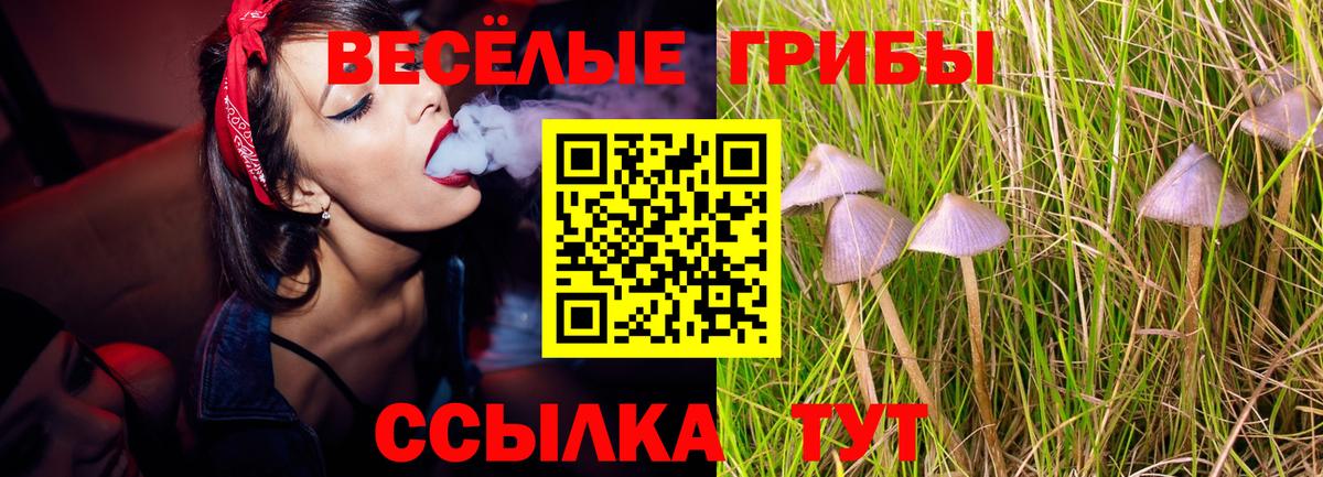 Мичуринск  Галлюциногенные грибы MAGIC MUSHROOMS  купить наркоту  Вход с VPN 