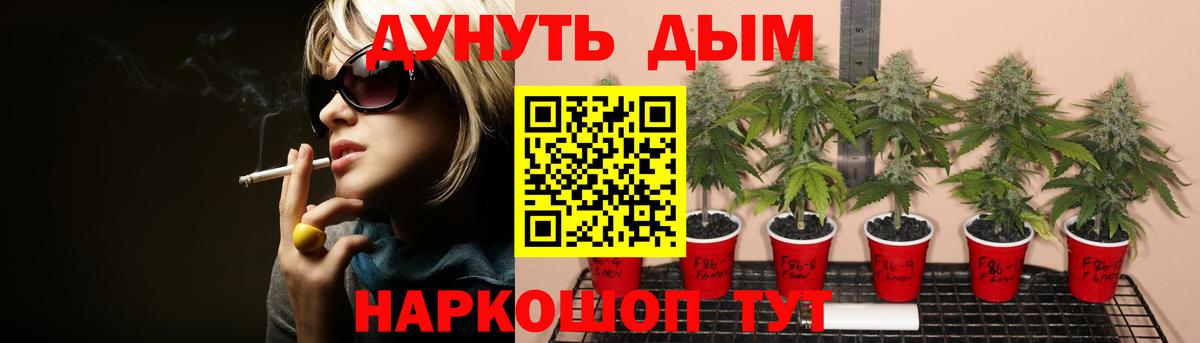 МАРИХУАНА планчик  Конопля VHQ  Бошки Шишки Ganja  Бошки Шишки Amnesia  Мичуринск 